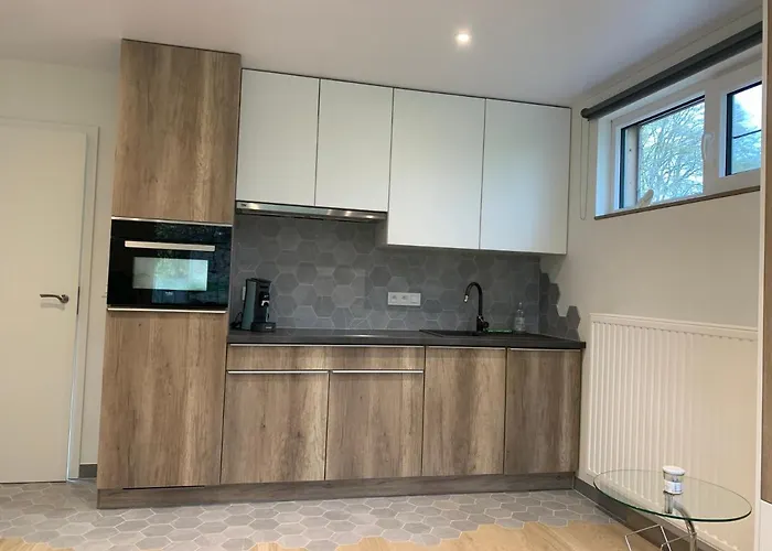 L'annexe * Μπαστόν