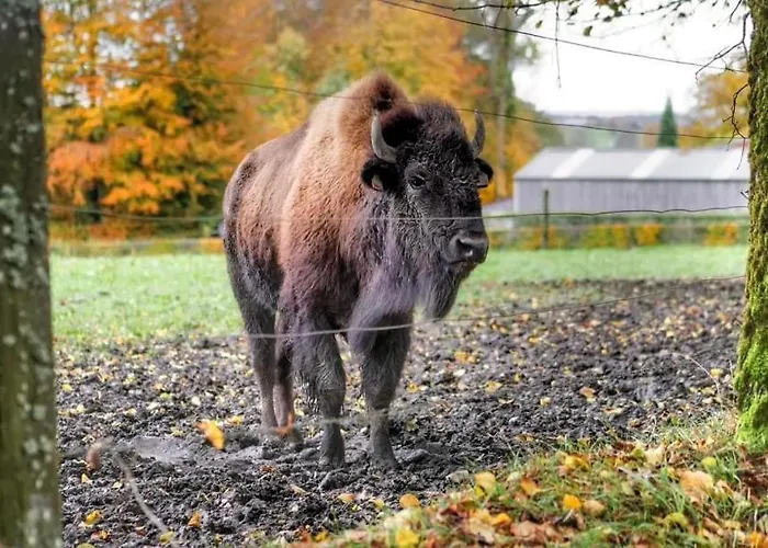 Σπίτι διακοπών L'annexe *